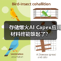 存储爆火AI Capex应用材料终能雄起了？（图3）