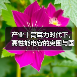 产业丨高算力时代下，高性能电容的突围与国产替代机遇（图4）