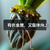 有色金属,又集体向上(图2) 有色金属,又集体向上(图2)