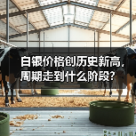 白银价格创历史新高,周期走到什么阶段?(图4) 白银价格创历史新高,周期走到什么阶段?(图4)