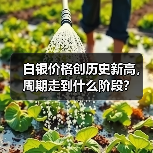白银价格创历史新高,周期走到什么阶段?(图1) 白银价格创历史新高,周期走到什么阶段?(图1)
