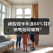 碳酸锂半年涨60%背后，钠电如何破局？（图1）
