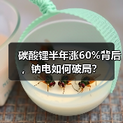 碳酸锂半年涨60%背后，钠电如何破局？（图3）