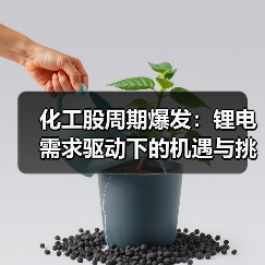 化工股周期爆发：锂电需求驱动下的机遇与挑战（图4）