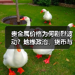 贵金属价格为何剧烈波动?地缘政治、货币与供需的多重博弈(图3) 贵金属价格为何剧烈波动?地缘政治、货币与供需的多重博弈(图3)