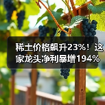 稀土价格飙升23%!这家龙头净利暴增194%,周期反转背后的布局(图2) 稀土价格飙升23%!这家龙头净利暴增194%,周期反转背后的布局(图2)