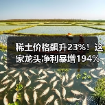 稀土价格飙升23%!这家龙头净利暴增194%,周期反转背后的布局(图3) 稀土价格飙升23%!这家龙头净利暴增194%,周期反转背后的布局(图3)