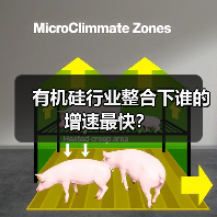 有机硅行业整合下谁的增速最快?(图1) 有机硅行业整合下谁的增速最快?(图1)