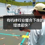 有机硅行业整合下谁的增速最快?(图4) 有机硅行业整合下谁的增速最快?(图4)