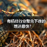 有机硅行业整合下谁的增速最快?(图3) 有机硅行业整合下谁的增速最快?(图3)