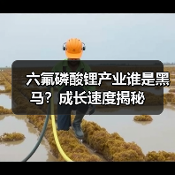 六氟磷酸锂产业谁是黑马?成长速度揭秘(图1) 六氟磷酸锂产业谁是黑马?成长速度揭秘(图1)