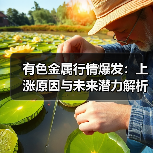 有色金属行情爆发:上涨原因与未来潜力解析(图1) 有色金属行情爆发:上涨原因与未来潜力解析(图1)