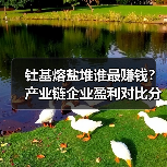 钍基熔盐堆谁最赚钱？产业链企业盈利对比分析（图4）