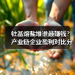 钍基熔盐堆谁最赚钱？产业链企业盈利对比分析（图2）