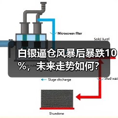 白银逼仓风暴后暴跌10%，未来走势如何？（图2）