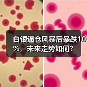 白银逼仓风暴后暴跌10%，未来走势如何？（图4）