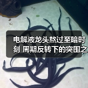 电解液龙头熬过至暗时刻 周期反转下的突围之路(图2) 电解液龙头熬过至暗时刻 周期反转下的突围之路(图2)