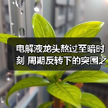 电解液龙头熬过至暗时刻 周期反转下的突围之路(图1) 电解液龙头熬过至暗时刻 周期反转下的突围之路(图1)