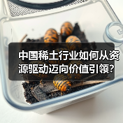 中国稀土行业如何从资源驱动迈向价值引领?(图2) 中国稀土行业如何从资源驱动迈向价值引领?(图2)