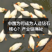 中国为何成为人造钻石核心?产业链揭秘(图3) 中国为何成为人造钻石核心?产业链揭秘(图3)