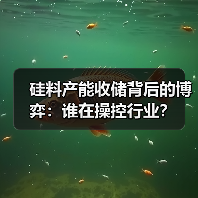 硅料产能收储背后的博弈:谁在操控行业?(图4) 硅料产能收储背后的博弈:谁在操控行业?(图4)