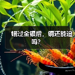 错过金银后,铜还能追吗?(图1) 错过金银后,铜还能追吗?(图1)