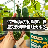 钴市风暴为何爆发？供应短缺与新能源需求激增或引爆价格飙升（图2）