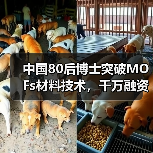 中国80后博士突破MOFs材料技术,千万融资打破巨头垄断(图4) 中国80后博士突破MOFs材料技术,千万融资打破巨头垄断(图4)