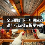 全球铜矿下半年供应趋紧？行业报告揭示供需变化（图3）