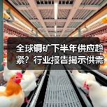 全球铜矿下半年供应趋紧？行业报告揭示供需变化（图1）