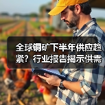 全球铜矿下半年供应趋紧？行业报告揭示供需变化（图4）