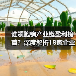 谁领跑镍产业链盈利榜首?深度解析18家企业的竞争力(图1) 谁领跑镍产业链盈利榜首?深度解析18家企业的竞争力(图1)