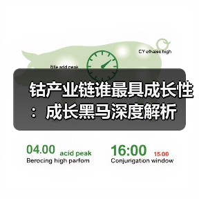 钴产业链谁最具成长性:成长黑马深度解析(图4) 钴产业链谁最具成长性:成长黑马深度解析(图4)