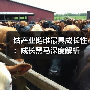 钴产业链谁最具成长性:成长黑马深度解析(图1) 钴产业链谁最具成长性:成长黑马深度解析(图1)