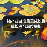钴产业链谁最具成长性:成长黑马深度解析(图3) 钴产业链谁最具成长性:成长黑马深度解析(图3)