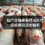 钴产业链谁最具成长性:成长黑马深度解析(图2) 钴产业链谁最具成长性:成长黑马深度解析(图2)