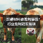 超硬材料谁盈利最强？行业盈利冠军揭晓（图4）