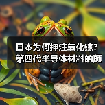 日本为何押注氧化镓?第四代半导体材料的颠覆性优势(图1) 日本为何押注氧化镓?第四代半导体材料的颠覆性优势(图1)