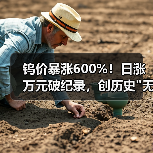 钨价暴涨600%!日涨万元破纪录,创历史 钨价暴涨600%!日涨万元破纪录,创历史