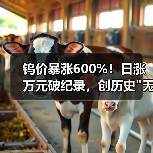 钨价暴涨600%!日涨万元破纪录,创历史 钨价暴涨600%!日涨万元破纪录,创历史