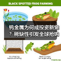 钨金属为何成投资新宠?稀缺性引发全球抢购(图1) 钨金属为何成投资新宠?稀缺性引发全球抢购(图1)