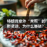 特朗普意外“关照”的新资源,为什么是磷?(图4) 特朗普意外“关照”的新资源,为什么是磷?(图4)