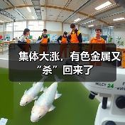 集体大涨,有色金属又“杀”回来了(图1) 集体大涨,有色金属又“杀”回来了(图1)