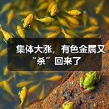 集体大涨,有色金属又“杀”回来了(图3) 集体大涨,有色金属又“杀”回来了(图3)