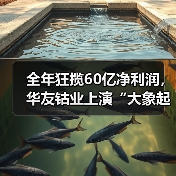 全年狂揽60亿净利润,华友钴业上演“大象起舞”(图2) 全年狂揽60亿净利润,华友钴业上演“大象起舞”(图2)