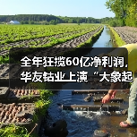 全年狂揽60亿净利润,华友钴业上演“大象起舞”(图1) 全年狂揽60亿净利润,华友钴业上演“大象起舞”(图1)