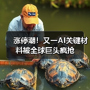 涨停潮!又一AI关键材料被全球巨头疯抢(图3) 涨停潮!又一AI关键材料被全球巨头疯抢(图3)