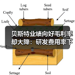 贝斯特业绩向好毛利率却大降:研发费用率下滑,持续分红上亿(图2) 贝斯特业绩向好毛利率却大降:研发费用率下滑,持续分红上亿(图2)