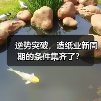 逆势突破,造纸业新周期的条件集齐了?(图2) 逆势突破,造纸业新周期的条件集齐了?(图2)