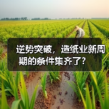 逆势突破,造纸业新周期的条件集齐了?(图1) 逆势突破,造纸业新周期的条件集齐了?(图1)